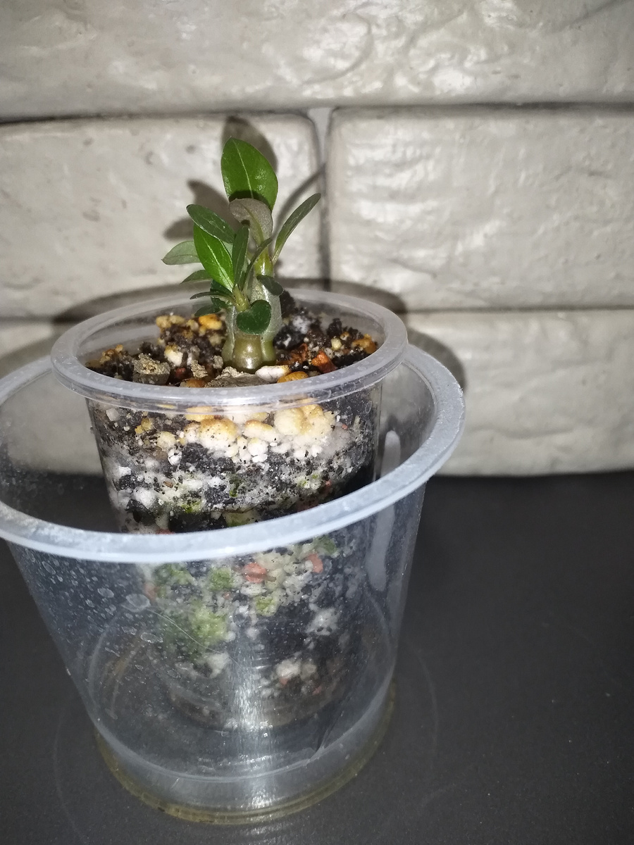 Вид с другого бока