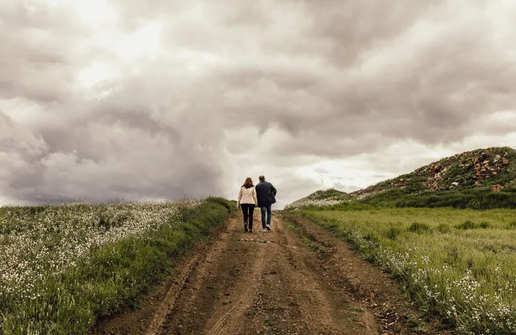 Яндекс картинки