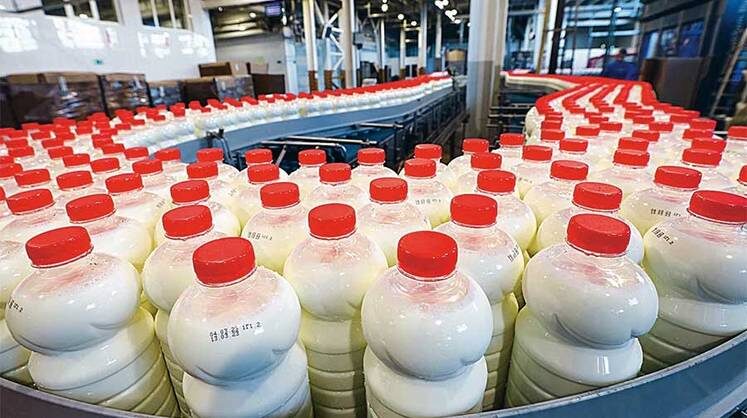    АЛЕКСАНДР РЮМИН/ТАСС В реестре МСП сейчас числится более 6,5 млн субъектов