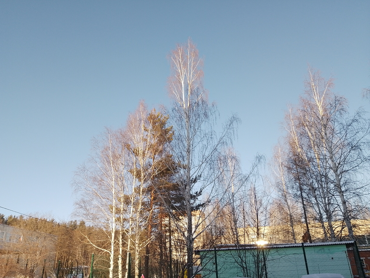 Декабрьский день