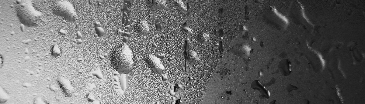    Фото: Сергей Егоров