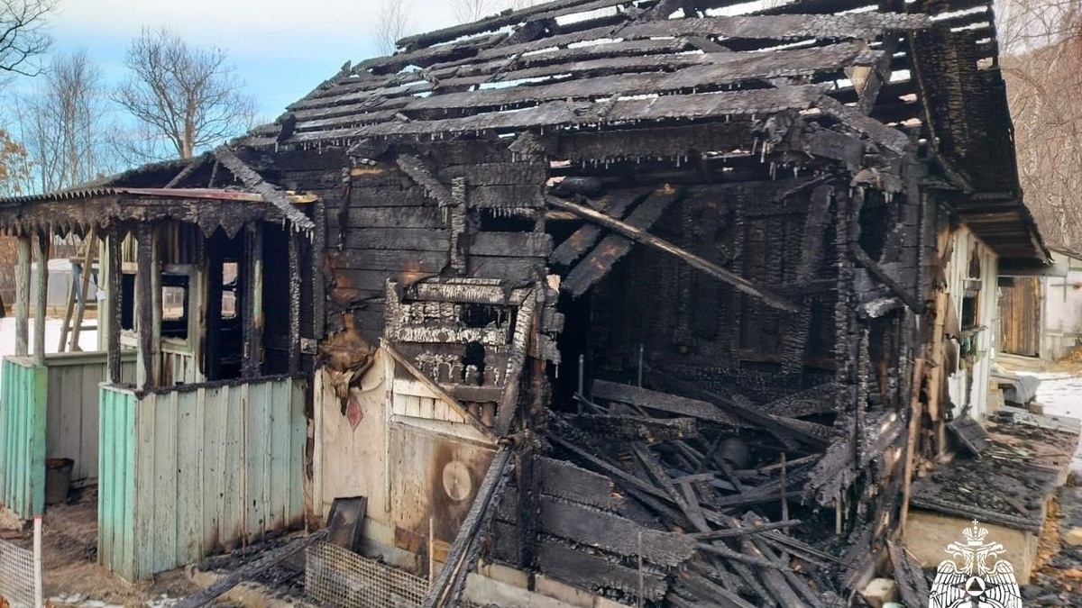     Источник: mchs_vdk