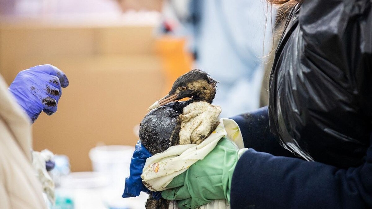    Фото: пресс-служба администрации Анапы