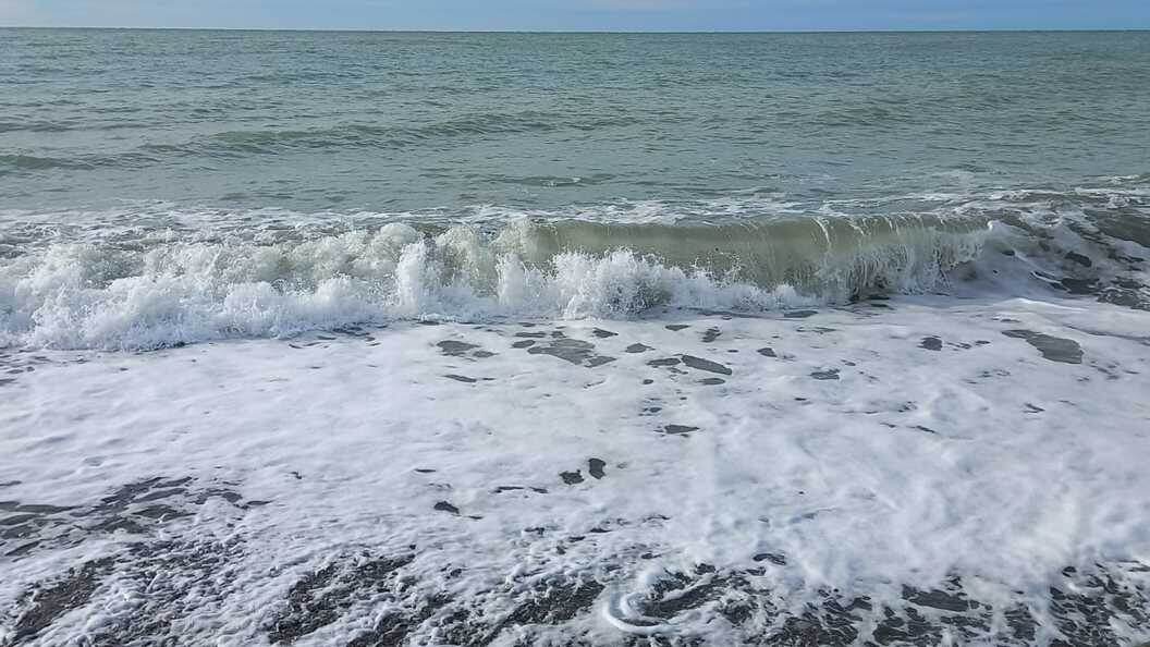    Фото: Алла Баранова/Царьград. Екатеринбург