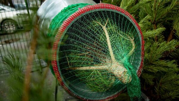    © РИА Новости Крым . Дмитрий Макеев