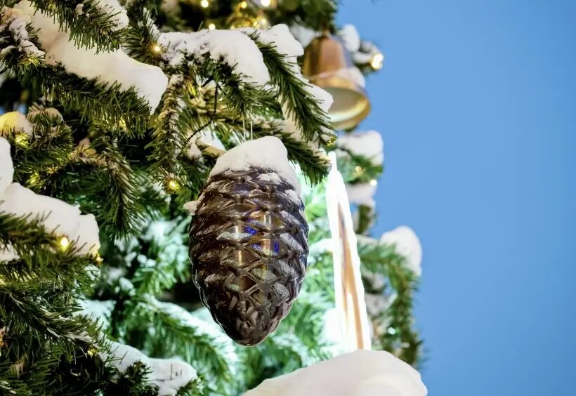     © РИА Новости. Алексей Даничев