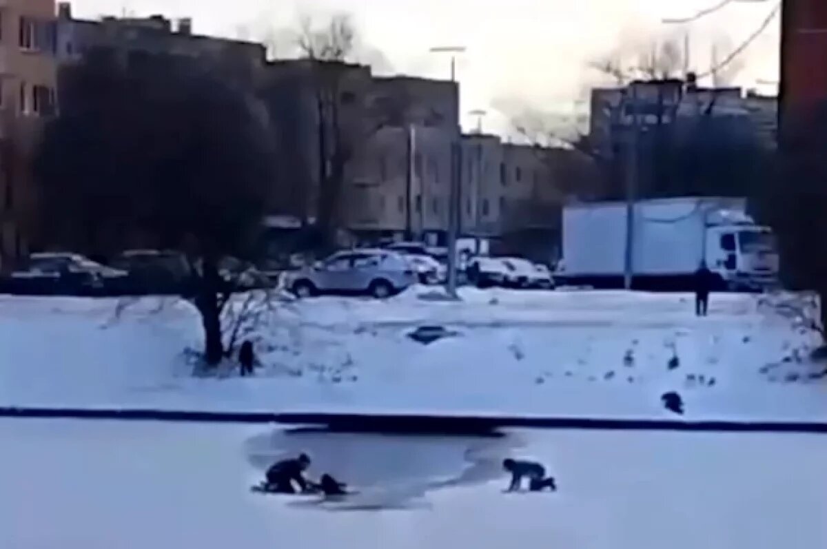    Мужчина спас провалившегося под лёд реки Сосновки ребёнка на юге Петербурга