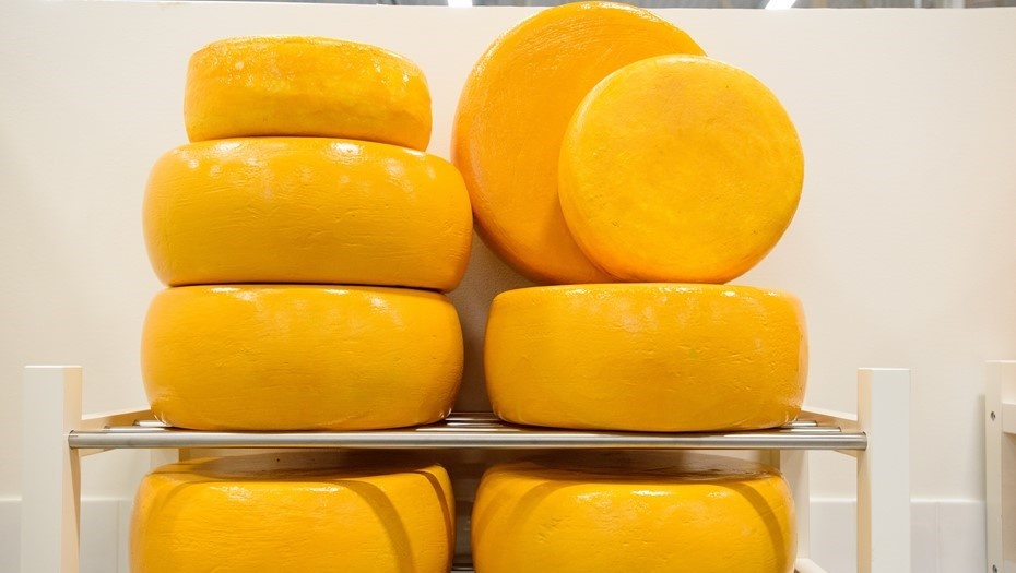    Автор фото: Сергей Ермохин / "ДП"