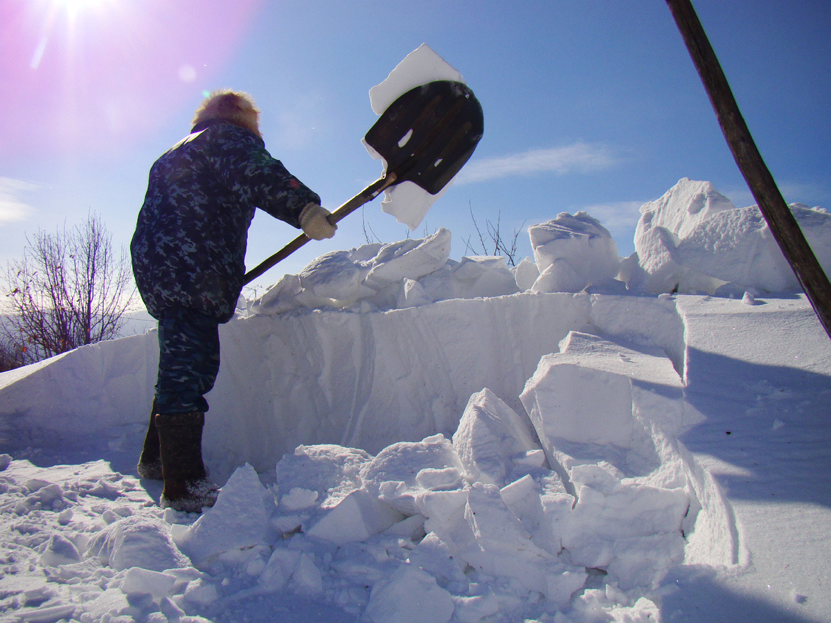 Это зимой так развлекаемся. Физзарядка.