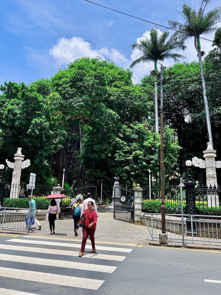    Фото из личного архива Марго Морис Марго Морис