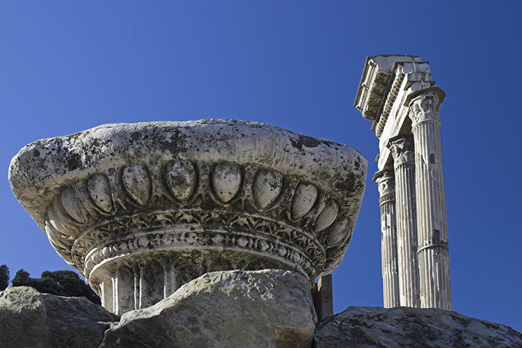    «С точки зрения теоремы Фишера, Рим пал потому, что привел к однообразию огромное количество людей, чрезмерно унифицировал свое население, снизил разнообразие групп».   
Фото: © Claudia Reitmeier/imageBROKER.com / www.globallookpress.com