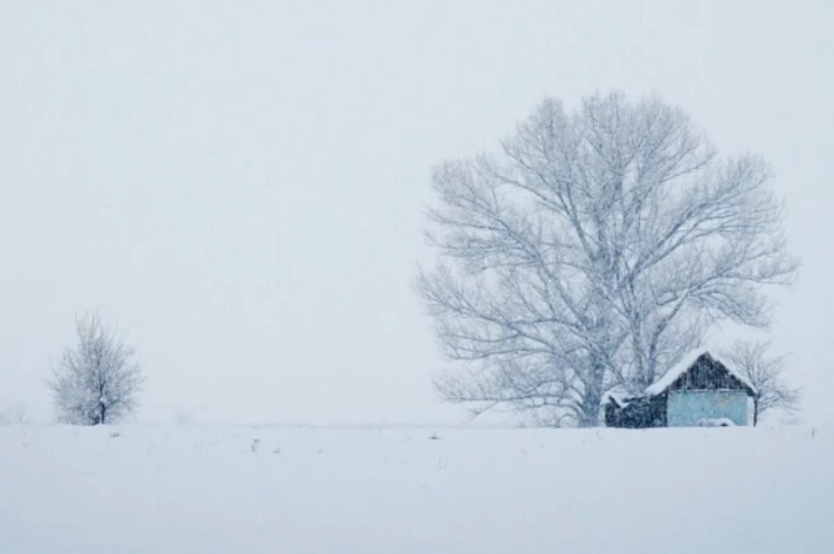    В проектный офис в Аксарке обратились 20 жителей Приуральского района