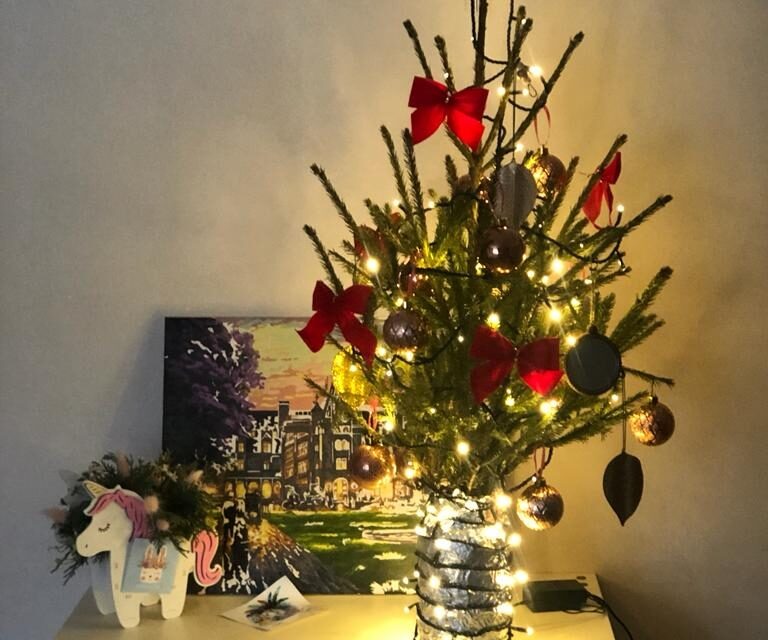    Фото: В курсе.ру Алена Калашникова