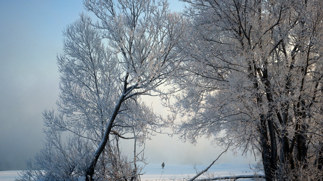    Фото: Геннадий Макарычев / Globallookpress.