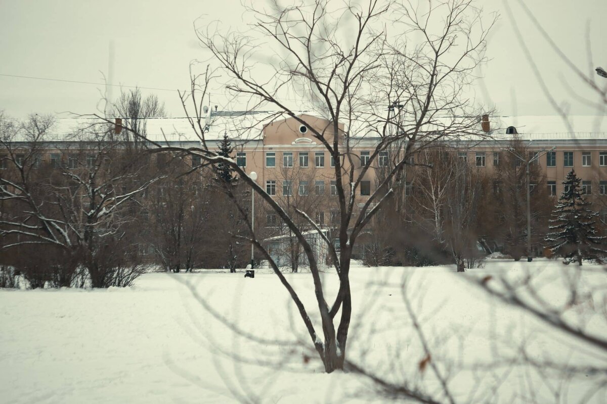    Фото: Георгий Романенко