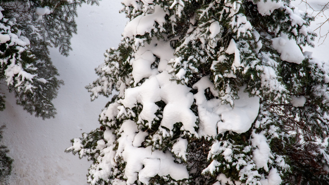    Svetlana Vozmilova/Global Look Press