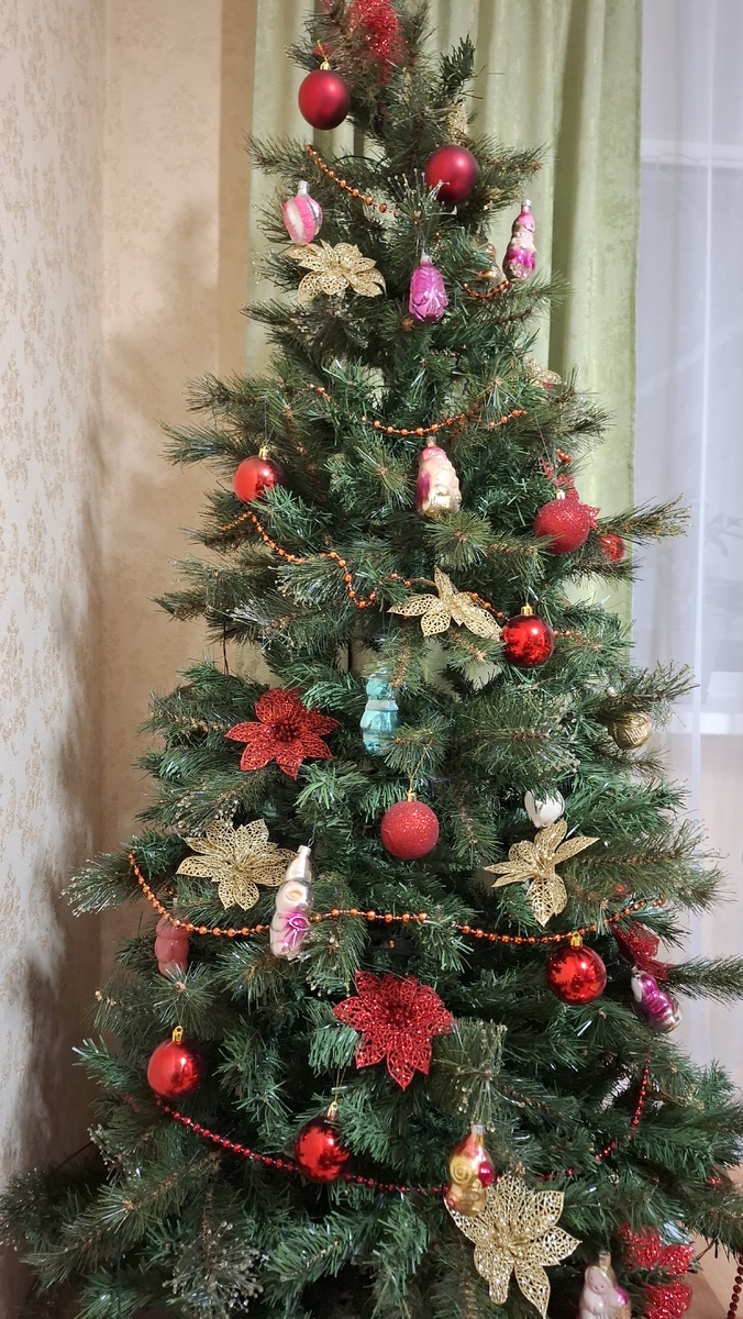 Елка моя при дневном свете.