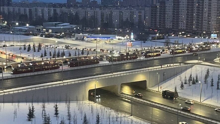    Фото: соцсети