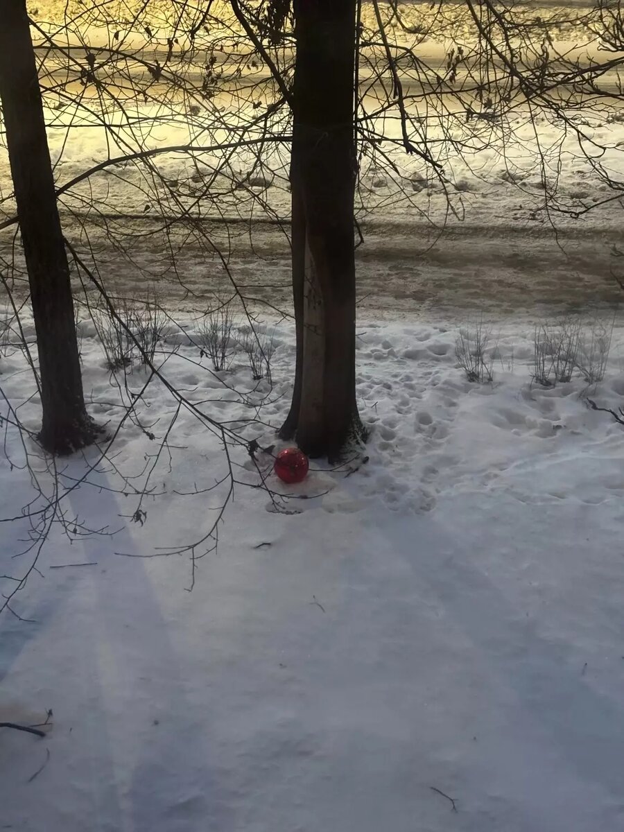     Источник: vk.com/ptzzareka