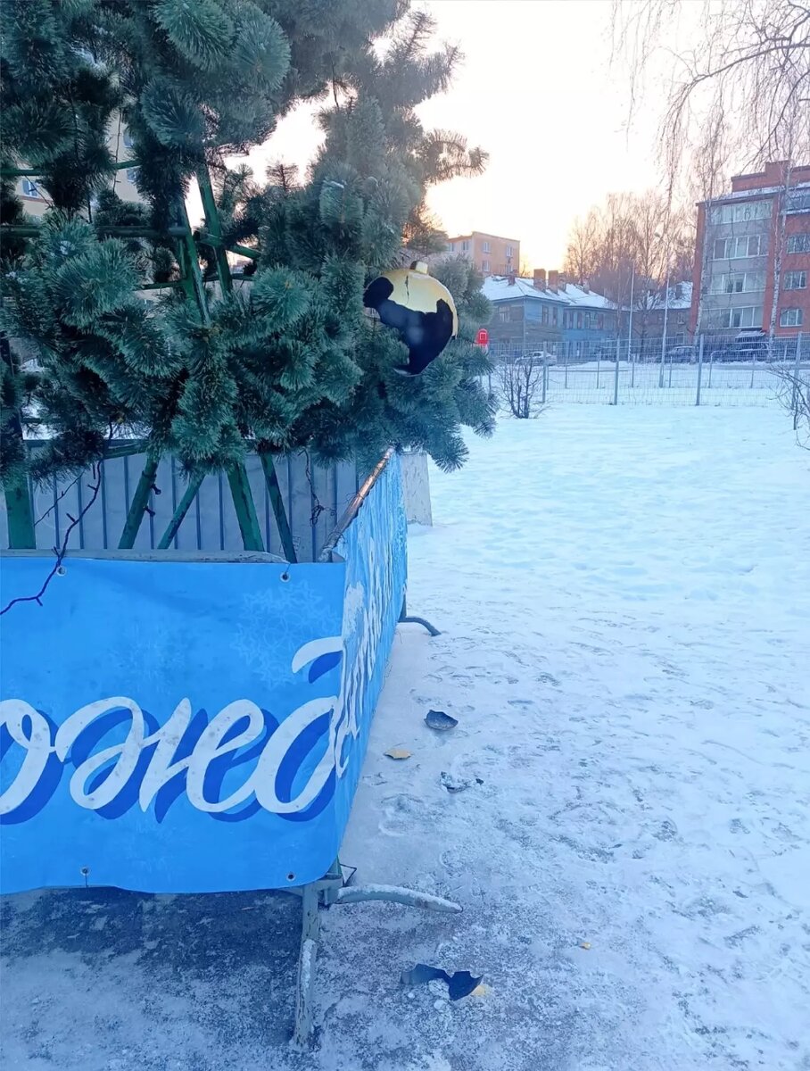     Источник: vk.com/ptzzareka