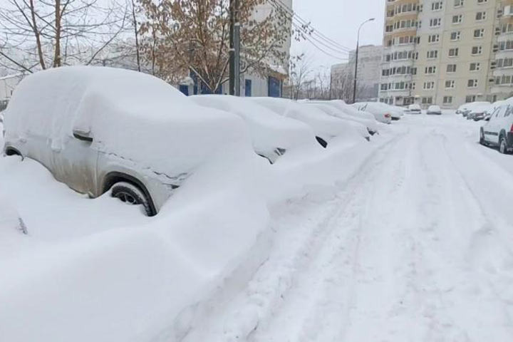 Фото:chehov-vid.ru
