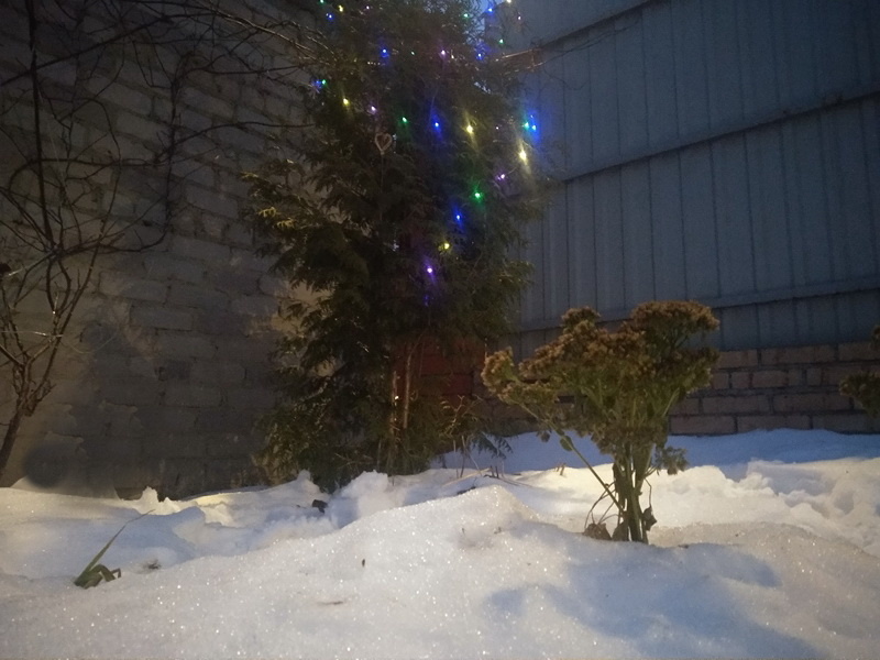 Новогодняя туечка в огоньках 