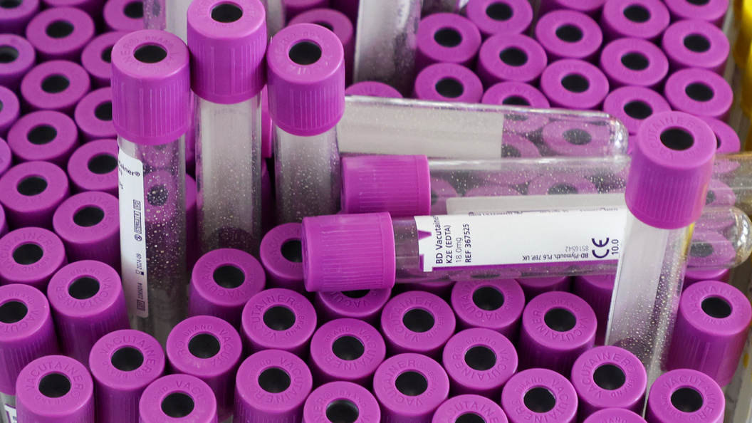    фото: Petrov Sergey/news.ru/Globallookpress