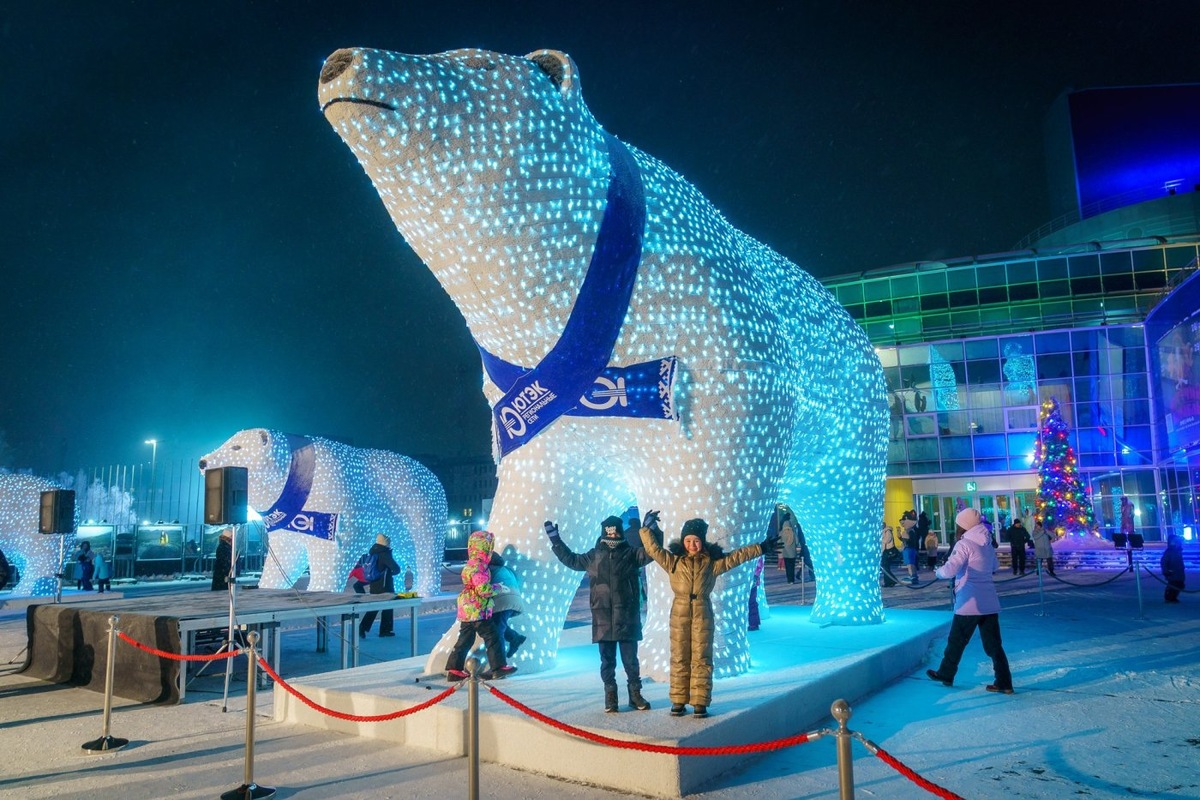    Югорчане могут получить подарки за селфи с белыми медведями