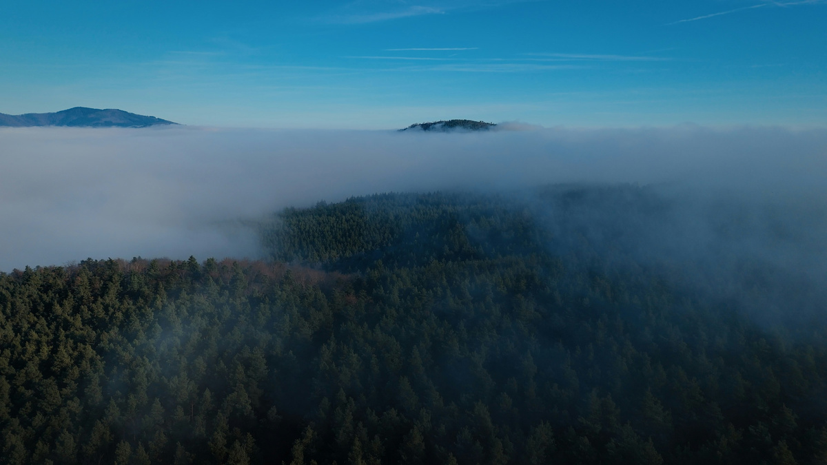 Картинка с бесплатного фотостока https://unsplash.com, автор Julien Goettelmann