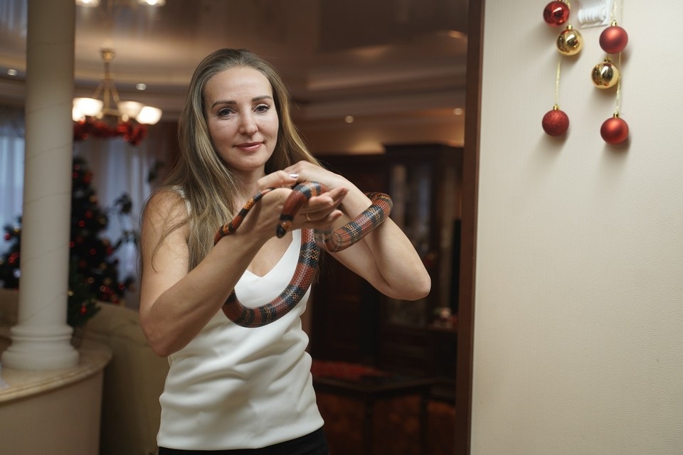    Левас любит, когда его берут на руки. Светлана МАКОВЕЕВА