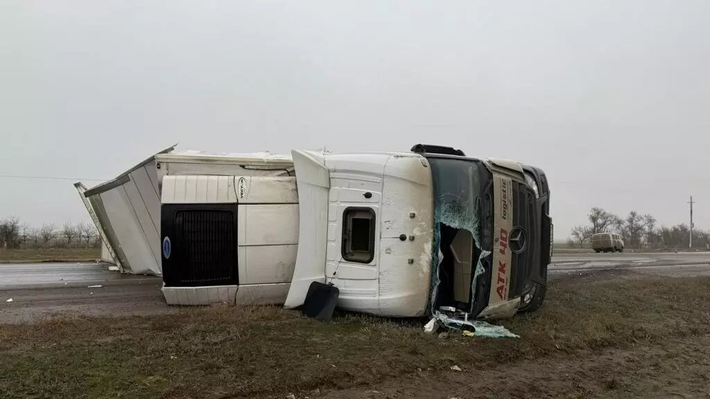     Источник: ГУ МВД по Волгоградской области