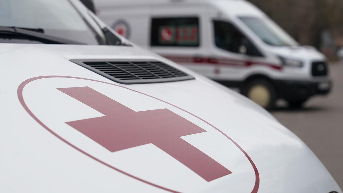    Фото: ИЗВЕСТИЯ/Эдуард Корниенко