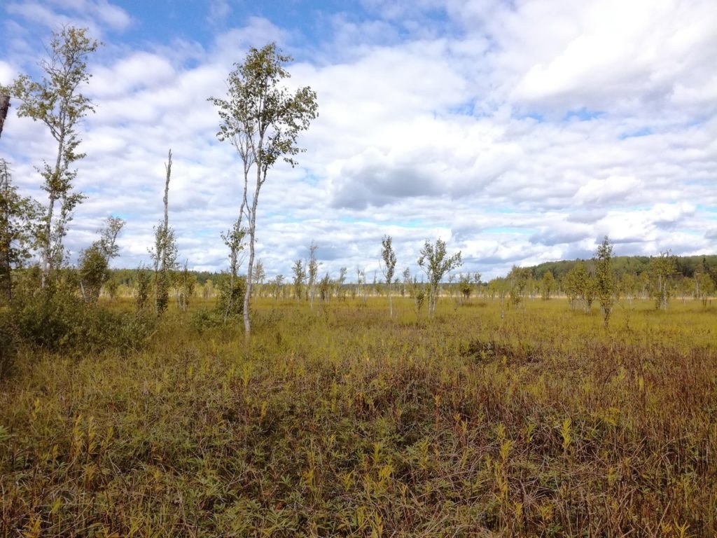   Департамент природресурсов Костромской области