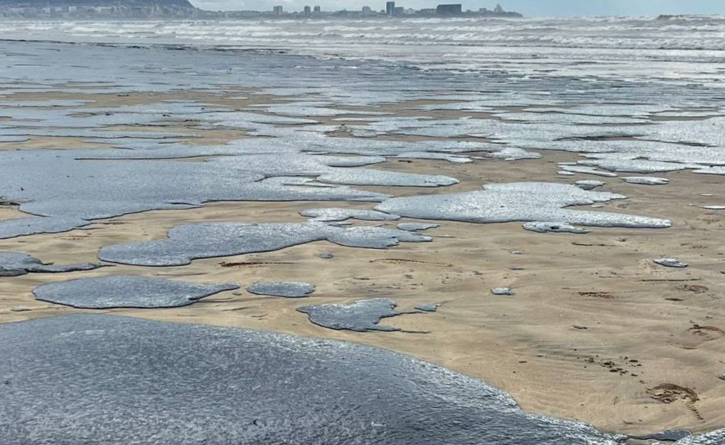    Жители Сургута помогают волонтерам справиться с экологической катастрофой в Анапе