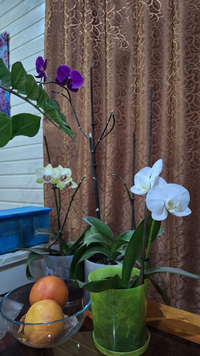 Фото автора. 