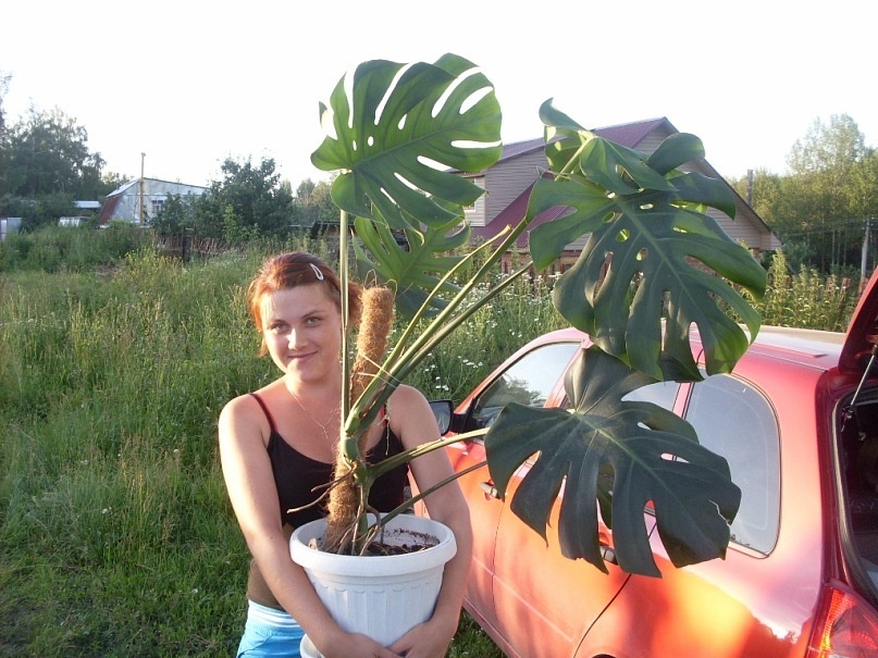 Фото автора.