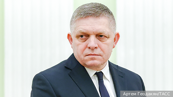     Фото: Артем Геодакян/ТАСС   
 Текст: Вера Басилая