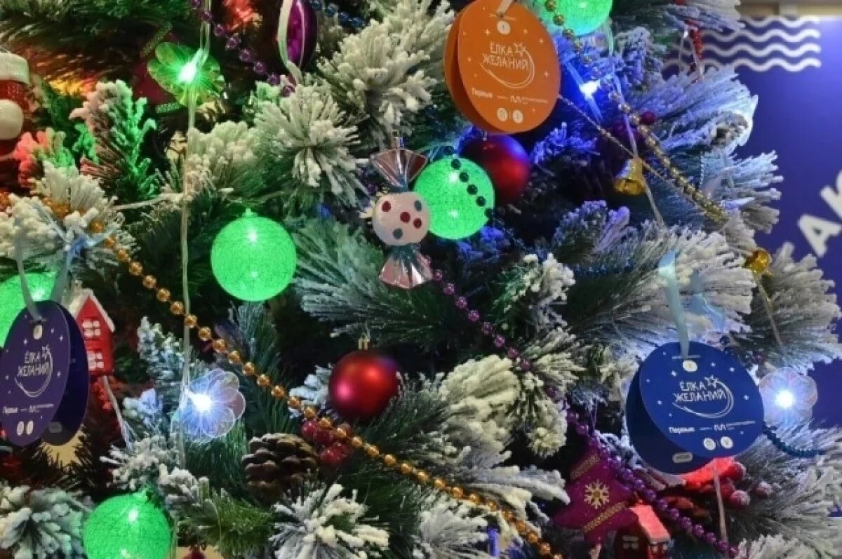    Депутат Госдумы Андрей Макаров исполнил желания рязанских детей