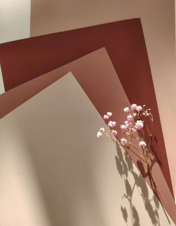 Сочетание оттенков красок Finch