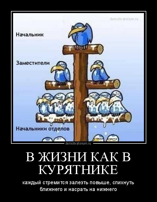 Нас такими сделали сионисты-жиды хабада и продолжают делать.