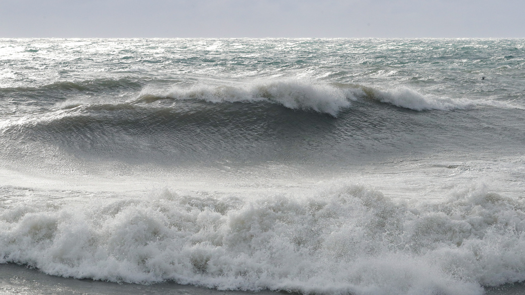    Petrov Sergey/news.ru/Globallookpress