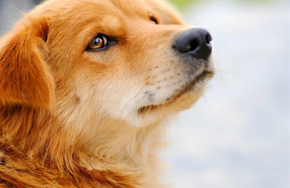 Яндекс.картинки для обложки 