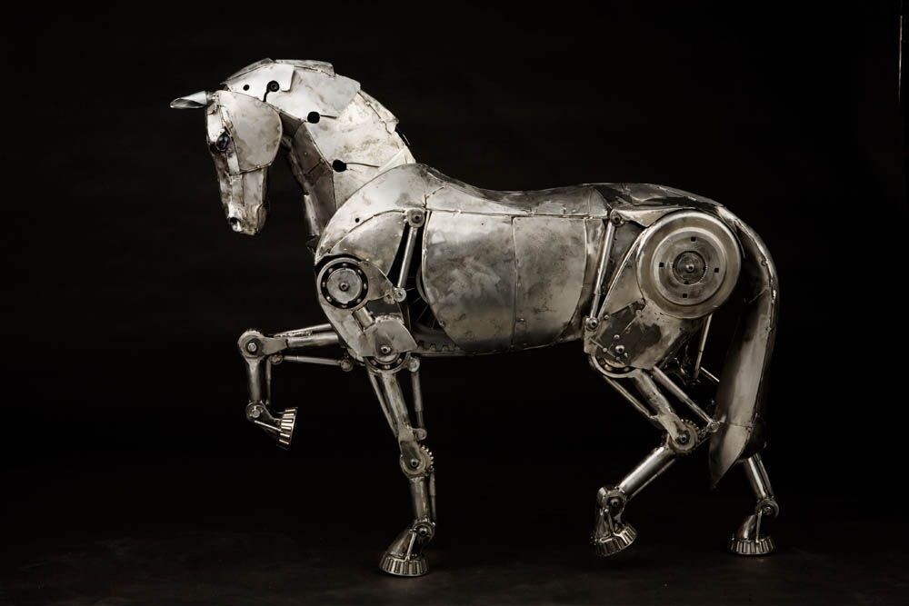 фото из открытого доступа.