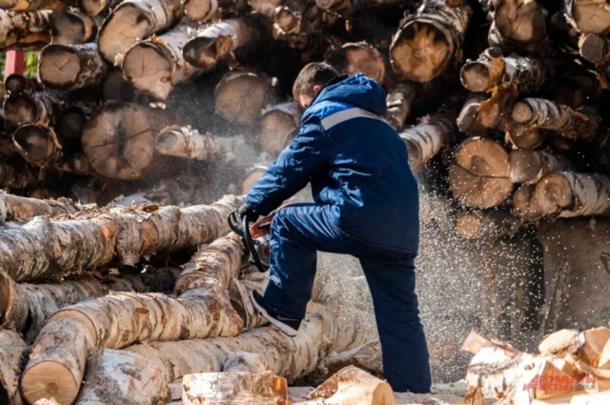    Работник лесопилки скончался после удара бревном в Пермском крае