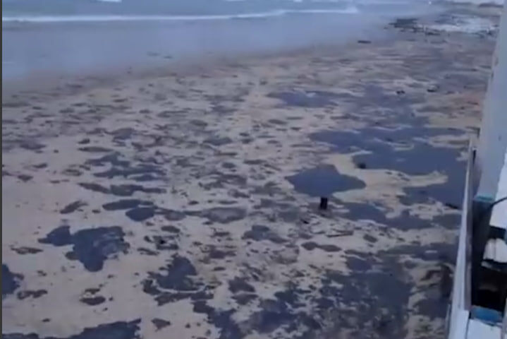    Фото: скрин видео соцсетей