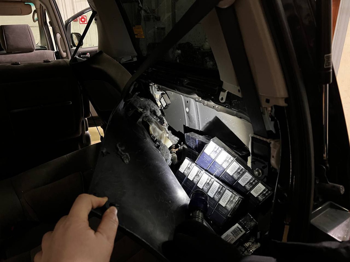    фото: служба по г. Сочи Краснодарской таможни