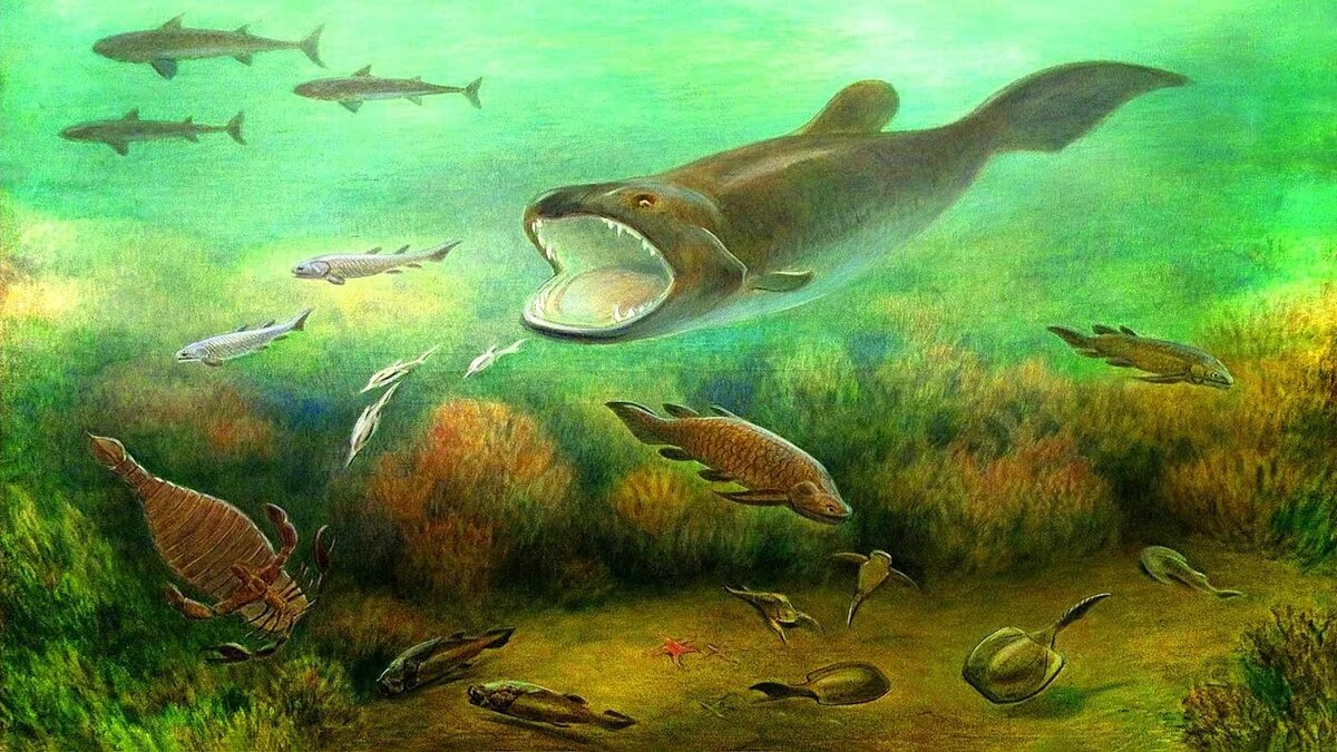 фото из открытого доступа.