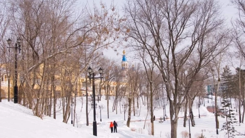 Источник: Мэрия Хабаровска