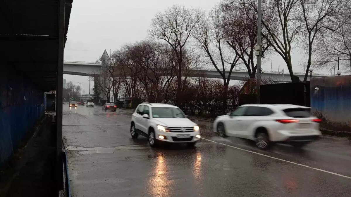     Источник: rostovgazeta.ru