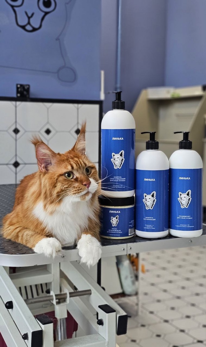 Пушистый клиент